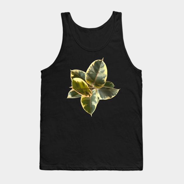 Ficus elástica tineke Tank Top by Meo Design